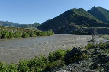  Mountain river Katun in the south of Western Siberia