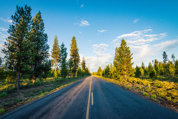 Sunrise street forest destination travel road 