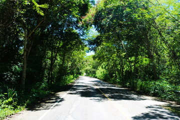 Fototapeta premium Die Straße der Träume