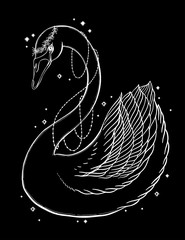 Sketch graphic illustration Beautiful Swan sun fairytale character with mystic and occult hand drawn symbols. Vector illustration. Vintage Old Fashion Tattoos,print t shirt.
