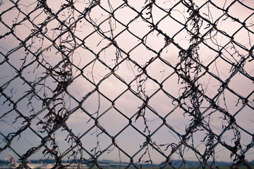 Background Net Wall Phuket Thailand