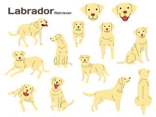 Obraz na płótnie Canvas labrador,dog in action,happy dog