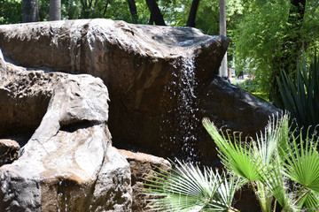 Obraz premium Tarde en el parque