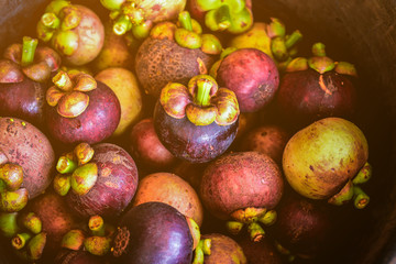 Mangosteen and cross section showing the thick purple skin and white flesh of the queen of fruits, Delicious mangosteen fruit arranged on a bowl, Mangosteen flesh, closeup. Mangosteen.