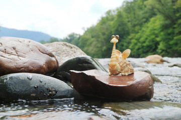 Image of a dragon made of shells. Handmade.