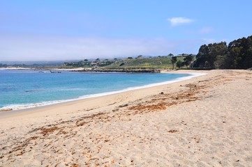 Beautiful beach near Big Sur on 17 mile Drive in California, United States