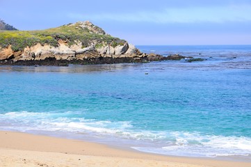 Beautiful beach with colorful plants on rocks in Spring near Big Sur on 17 mile Drive in California, United States