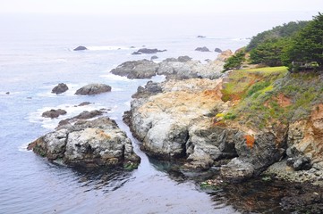 Fototapeta na wymiar Beautiful beach with colorful plants on rocks in Spring near Big Sur on 17 mile Drive in California, United States