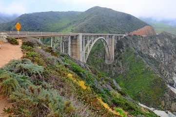 Famous Bixby Bridge with Colorful plants on the rock in Spring near Big Sur on 17 mile Drive in California, United States