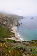 Beautiful beach with colorful plants on rocks in Spring near Big Sur on 17 mile Drive in California, United States
