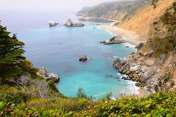 Beautiful beach with colorful plants on rocks in Spring near Big Sur on 17 mile Drive in California, United States