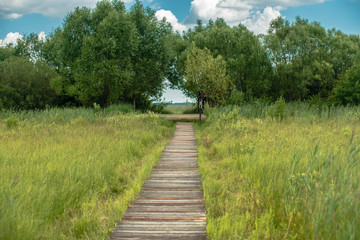 Fototapeta na wymiar Wooden path over meadow of Biebrza Natural Park
