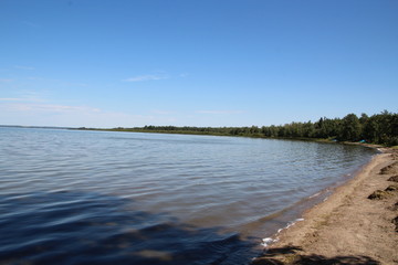 Shoreline Of Pigeon Lake, Alberta