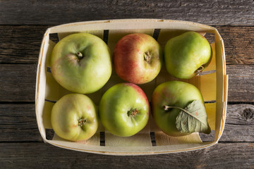 Apples in a box. Harvesting