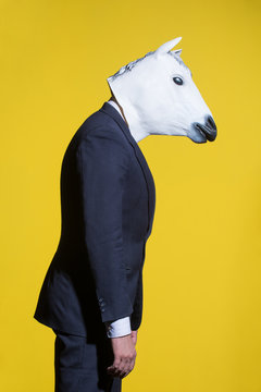 152,734 BEST Horse IMAGES, STOCK PHOTOS & VECTORS | Adobe Stock