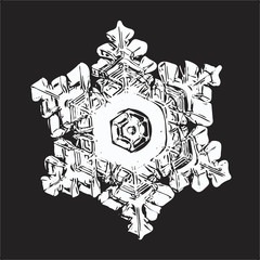 White snowflake on black background. This vector illustration based on macro photo of real snow crystal: star plate with hexagonal symmetry, six short, broad arms, elegant shape and relief surface.