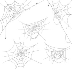 Black halloween spiderweb with spiders isolated on white.