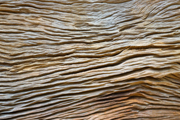 Colorful patterns and textures of wood.