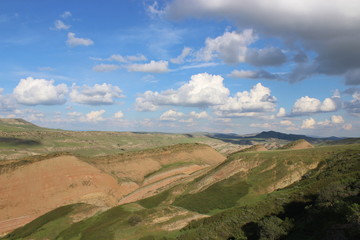 Fototapeta premium the green desert in Georgia