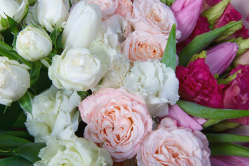 Beautiful flowers as background