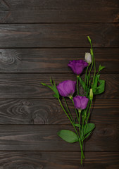 Violet flowers - eustoma, on a brown wooden background.