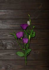 Violet flowers - eustoma, on a brown wooden background.