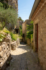 Fototapeta na wymiar View into a beautiful romantic cobblestone alley guarded with a lot of greenery in the old French village Labeaume on the river Ardeche in France