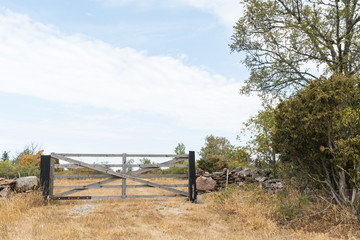 Closed old wooden gate