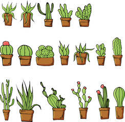 set of cactuses in pots