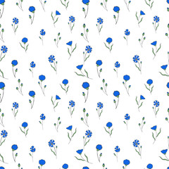 Seamless pattern with blue cornflowers on white