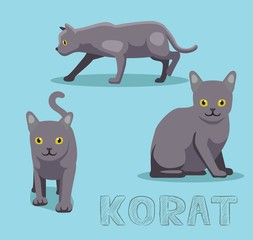 Cat Korat Cartoon Vector Illustration