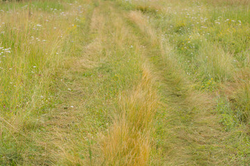 Long field road in the grass
