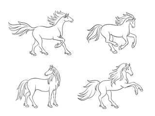 Horses in contours - vector illustration