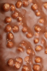 Chocolate candy with Rice Krispies Cereal close-up