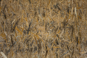 texture of wooden osb board