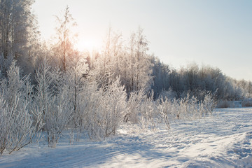 Winter snow at field
