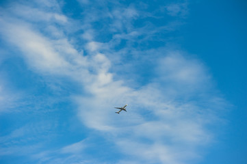 Airplane in the sky