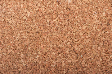 Large piece of corkboard