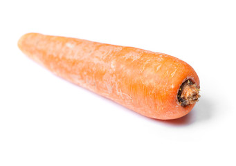 Single ugly carrot