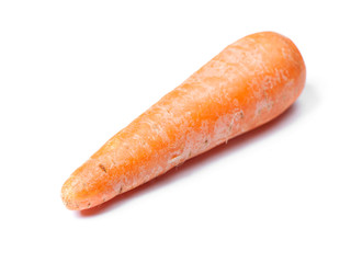 Single ugly carrot
