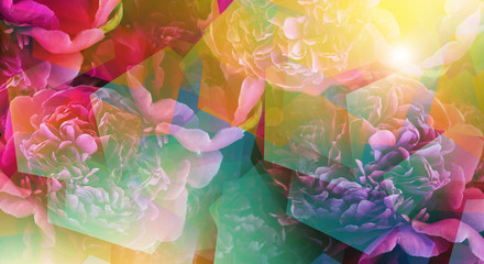Abstract background with peonies, hexagons multicolored