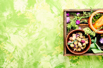 Healing herbs with mortar