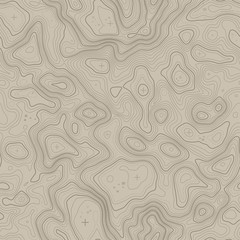 Seamless topographic map contour background. Topo map with elevation. Contour map vector. Geographic World Topography seamless texture vector illustration .