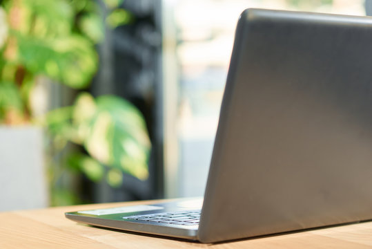 Black laptop standing on brown wooden table with green plant on background. Having dark metallic corps, soft keyboard. Looking modern and smart. Soft focus, blurred background.