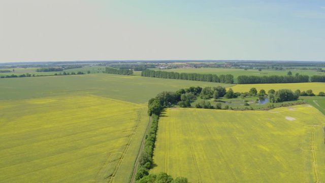 Luftaufnahmen der Rapsbl&uuml;te an der M&uuml;ritz