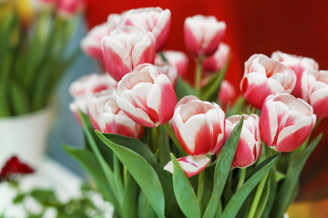 Bouquet of beautiful tulips in shop