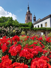 Kirche, Eltville,  Deutschland,  Rhein