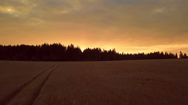 yellow sunset in summer countryside landscape