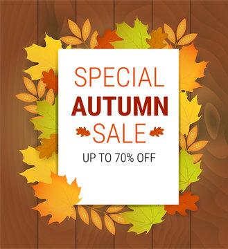 Special autumn sale banner. Vector illustration with autumn leaves. Poster with fall and hand drawn lettering