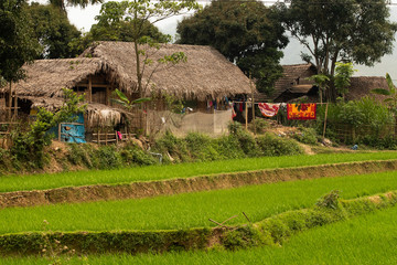 Fototapeta na wymiar Typical Vietnamese villages and rice fields in Sa Pa, Vietnam